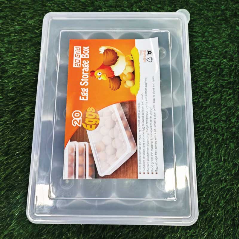 20 Grid Egg Box_img_1