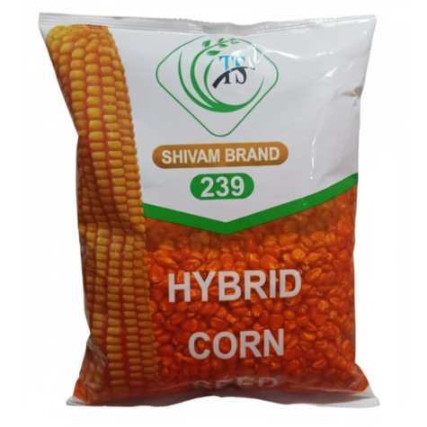 হাইব্রিড ভুট্টার বীজ শিবম ২৪৯ । Hybrid corn seed Shivam 239