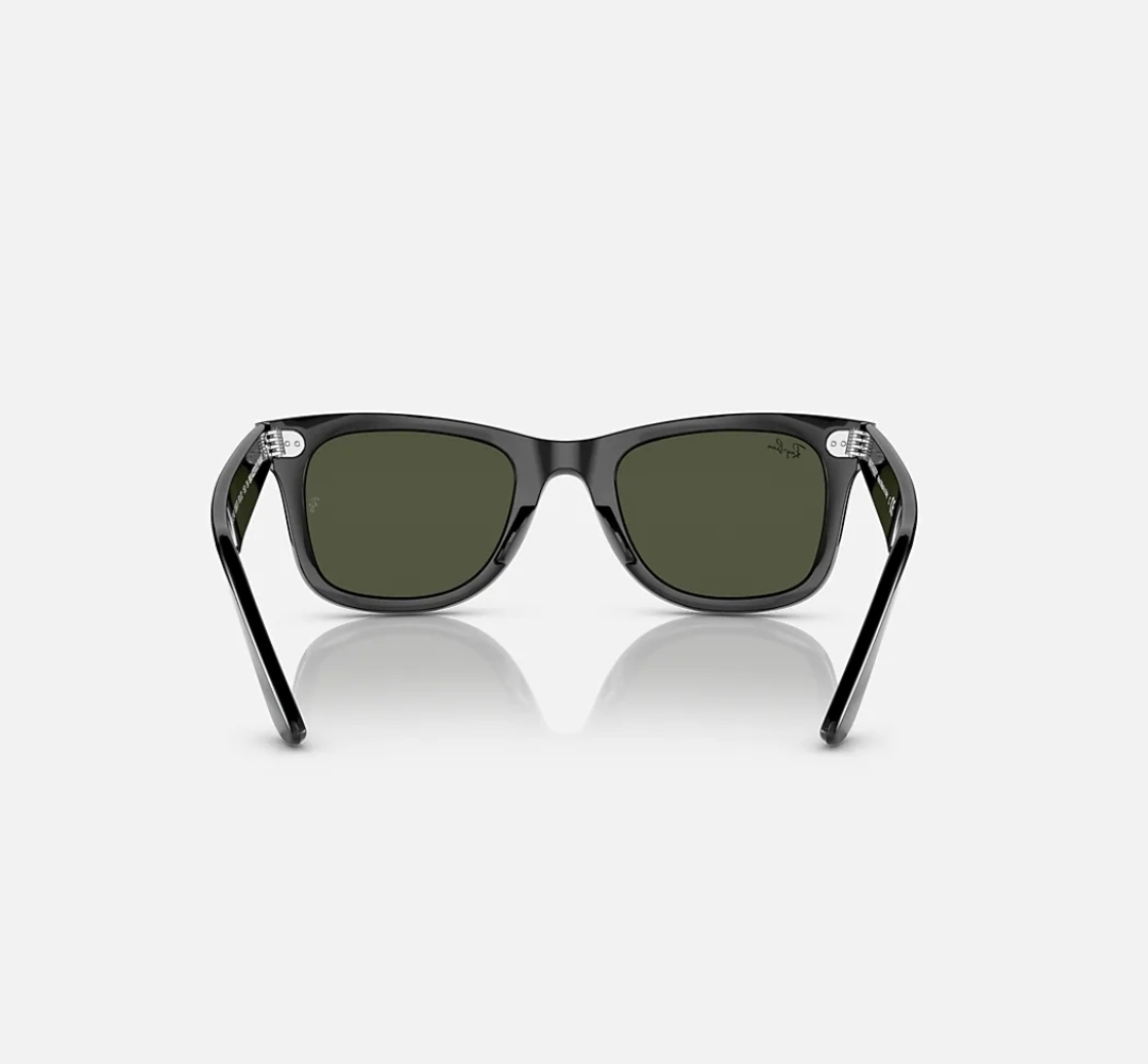 139 E Premium Wayfarer Sunglass_img_5