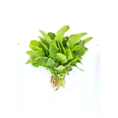 মূলা শাক_img_0