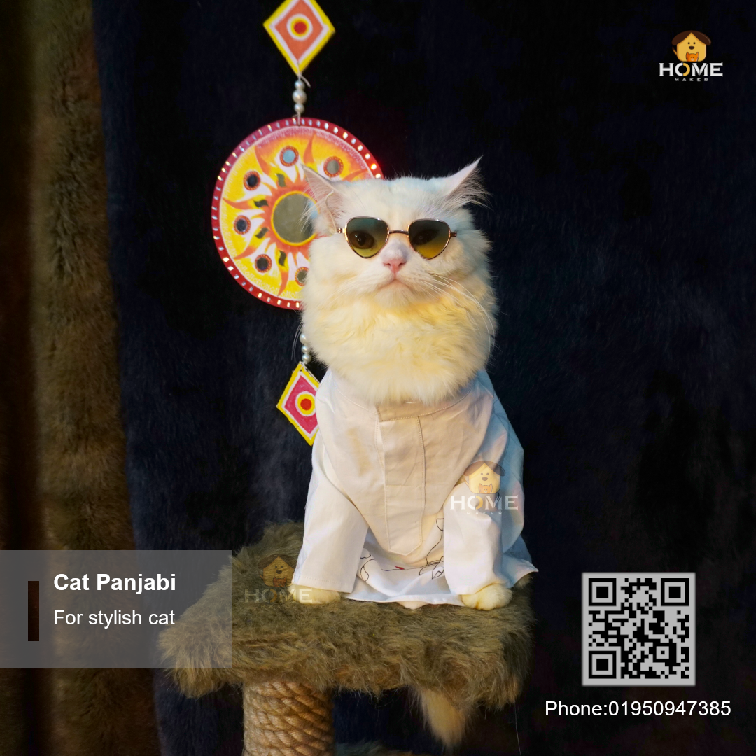 Cat panjabi (6,5,3.5,3 kg)_img_0