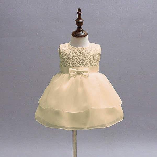 Baby Girl Elegant Lace Princess Party Dress (0 months - 24 months)_img_7