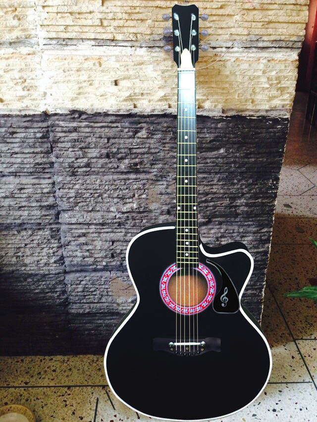 Student choice acoustic guitar