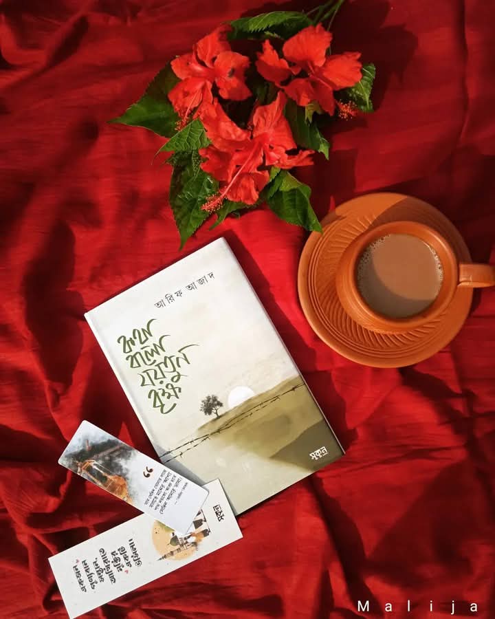 কথা বলো যয়তুন বৃক্ষ
