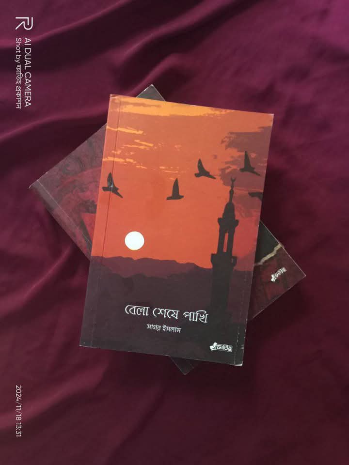 বেলা শেষে পাখি