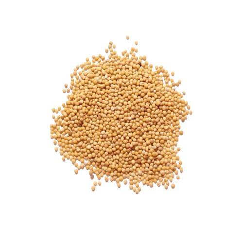 সরিষা (সাদা) 250 gm - Image 1