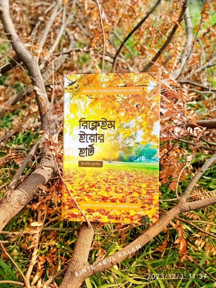 রিক্লেইম ইয়োর হার্ট