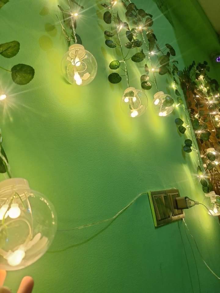Wish Ball Leaf Curtain Light (Without leaves)_img_9