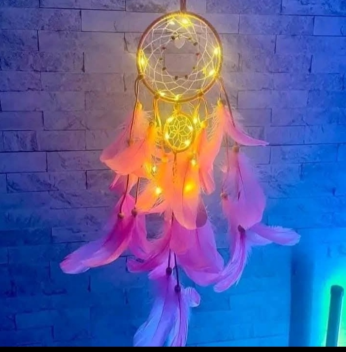 Dream Catcher_img_2