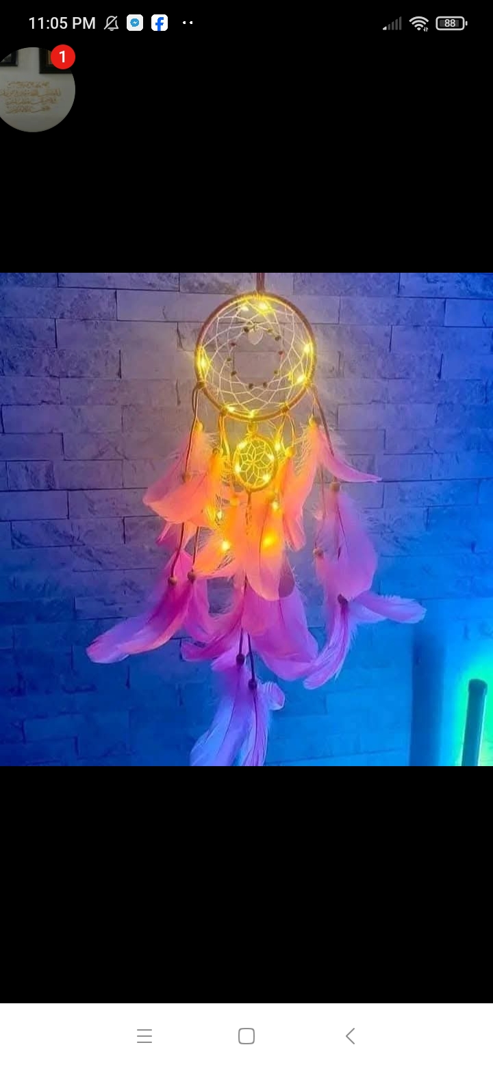 Dream Catcher_img_3