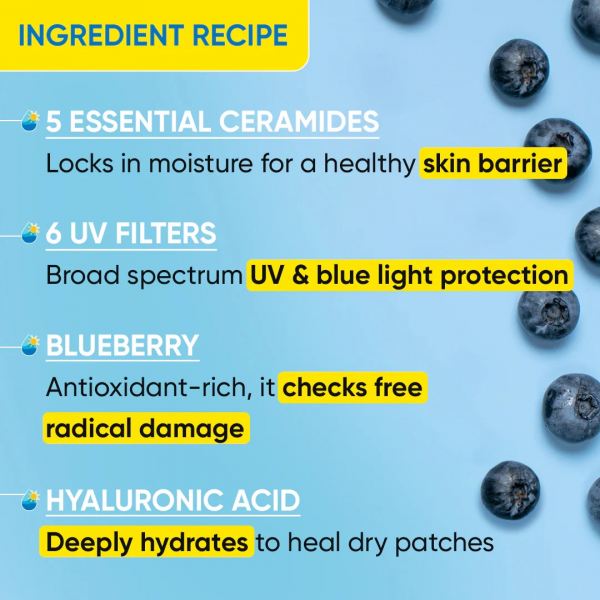 DOT & KEY Blueberry Hydrate Barrier Repair Sunscreen SPF 50+ PA++++ - 80g_img_3