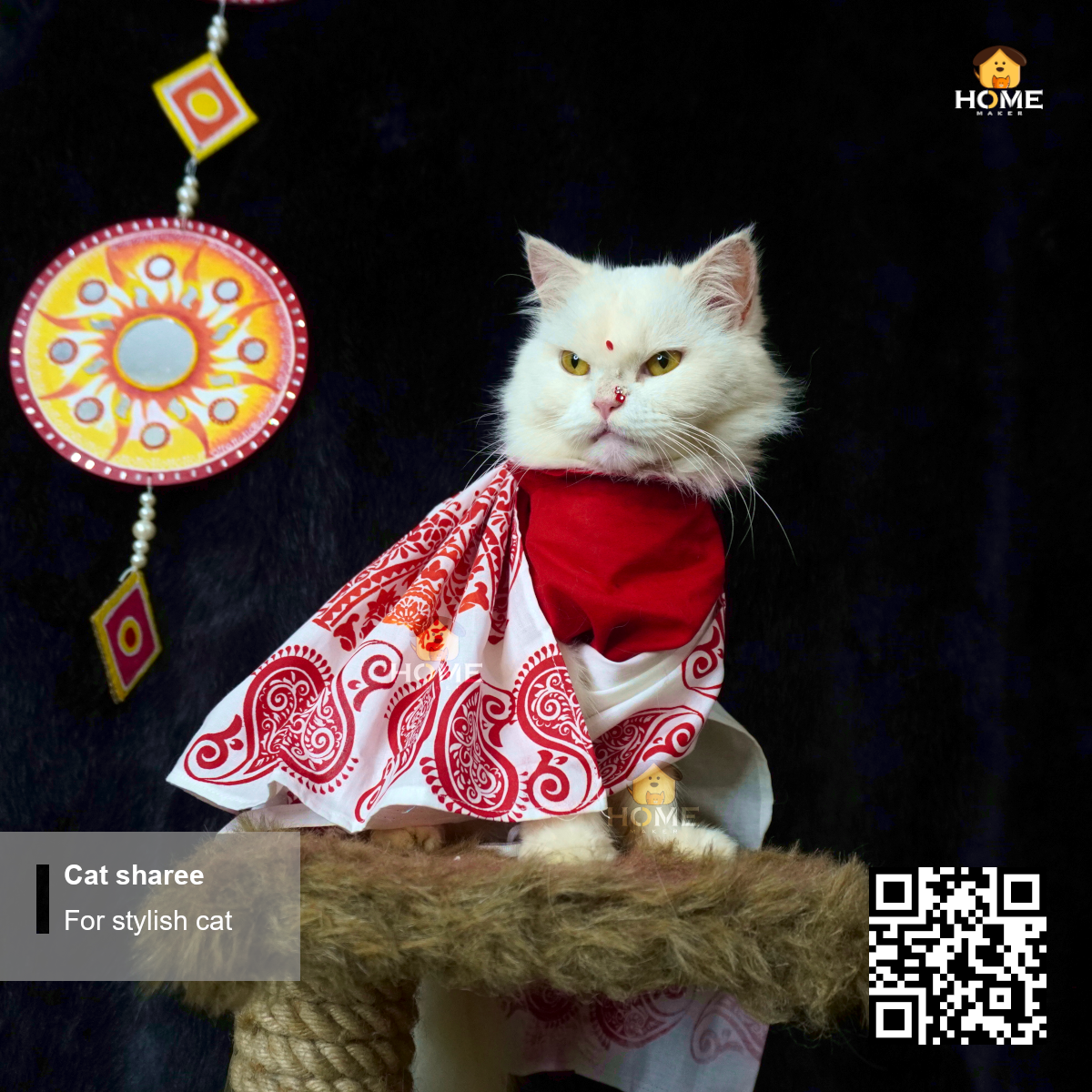 cat sharee_img_2