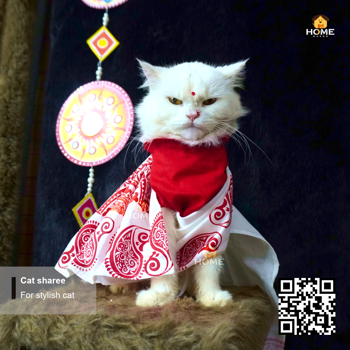 cat sharee_img_5