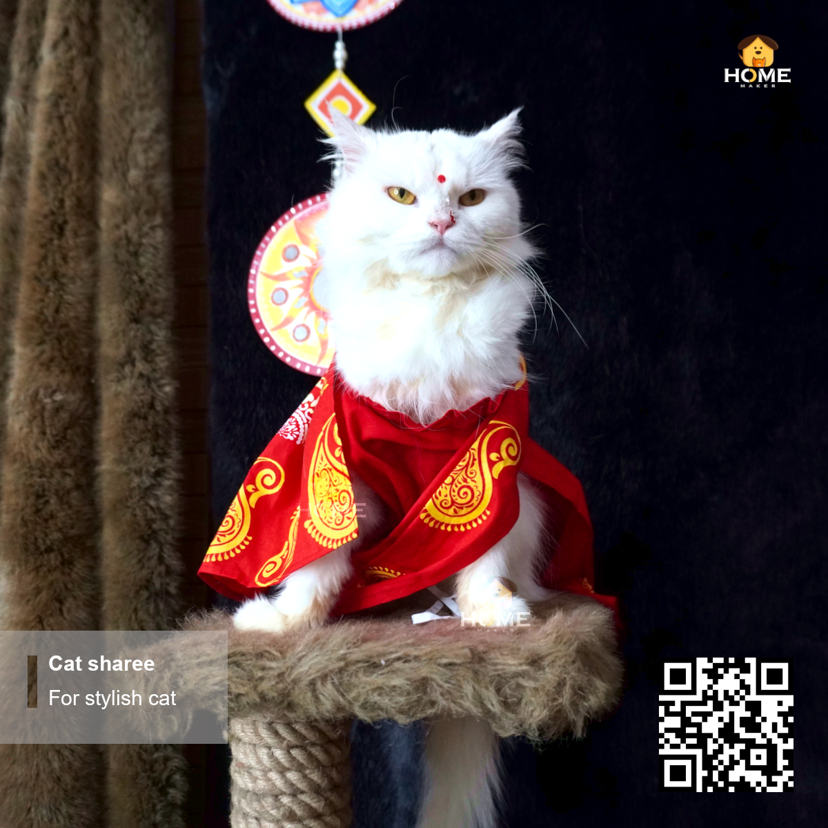 Cat sharee_img_5