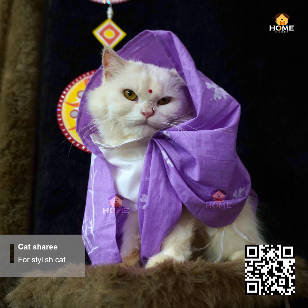 cat sharee_img_14