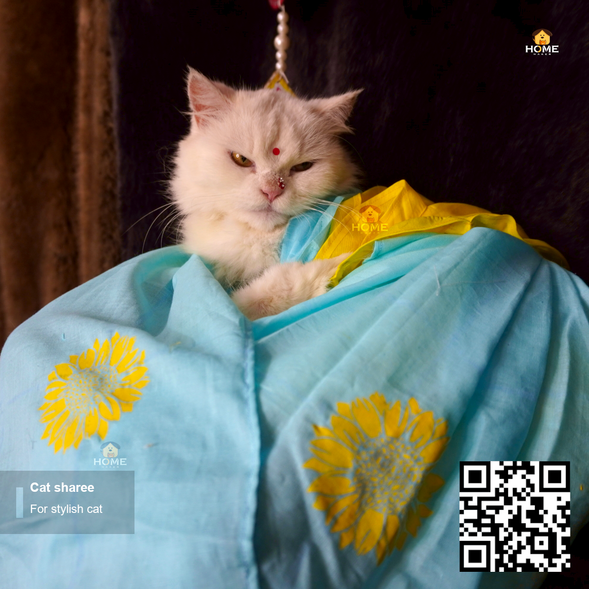 cat sharee_img_4