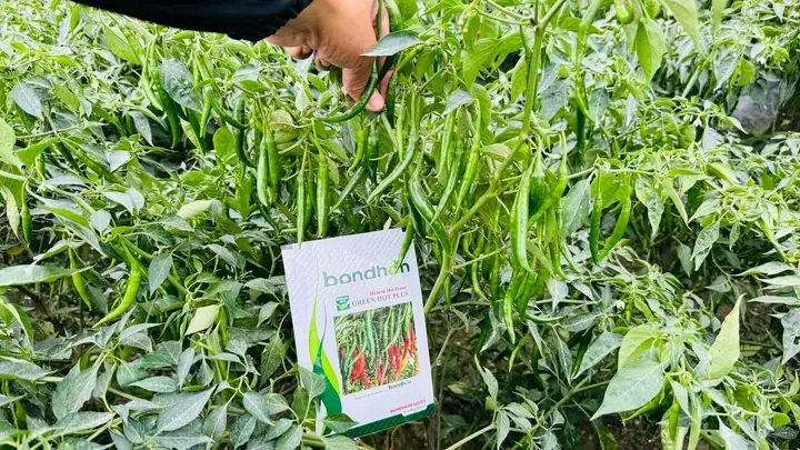 Customer-এর রিভিউ