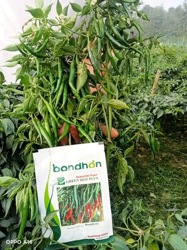 Customer-এর রিভিউ