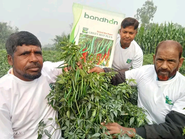 Customer-এর রিভিউ