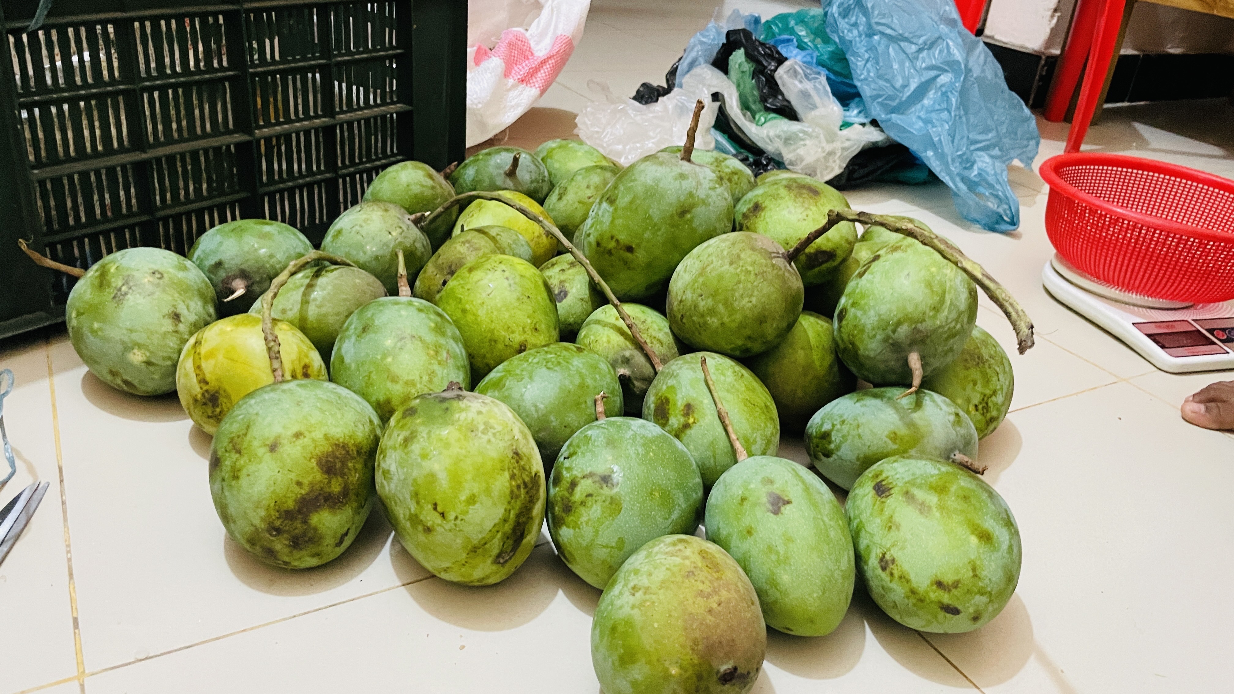 সাতক্ষীরার গোবিন্দভোগ আম (Gobindovog Mango)_img_6