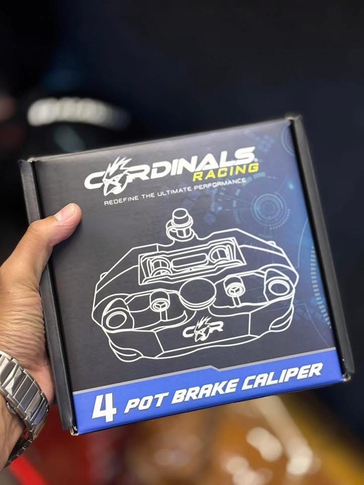 CARDINALS 4POT RADIAL (REAR)_img_1