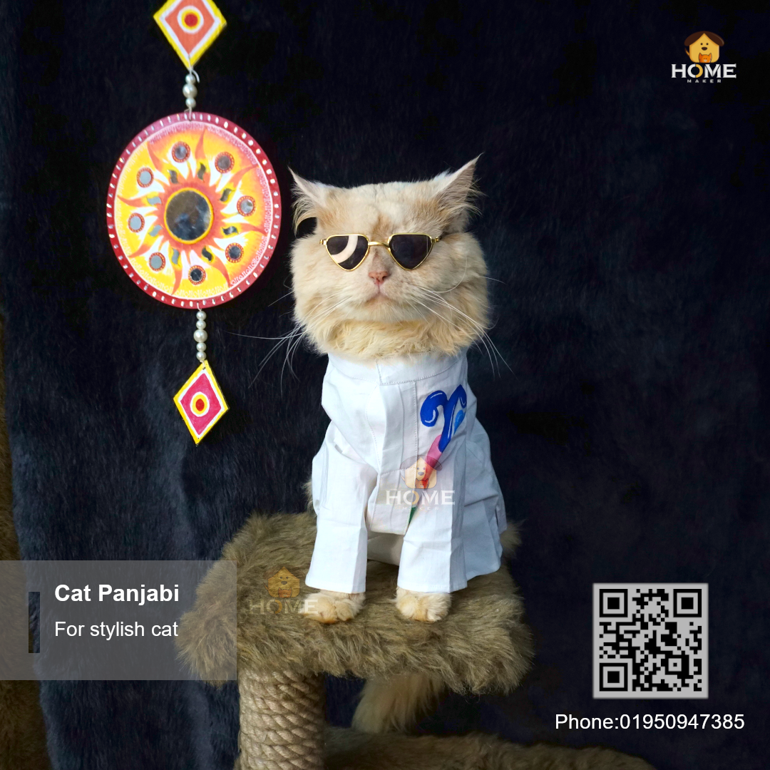 Cat panjabi_img_0