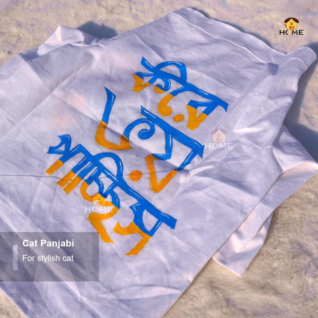 Cat panjabi_img_3