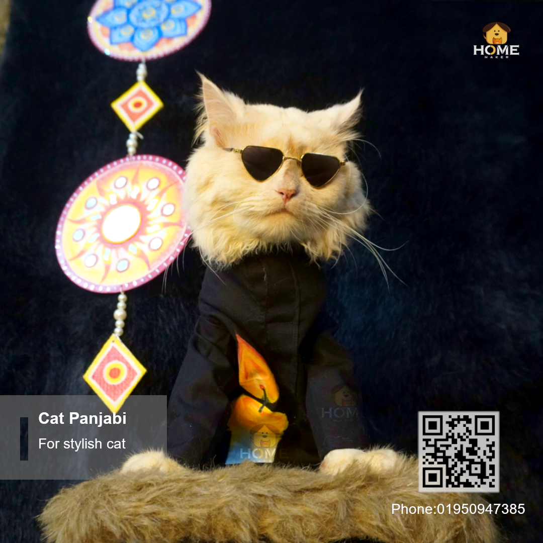 cat panjabi_img_1