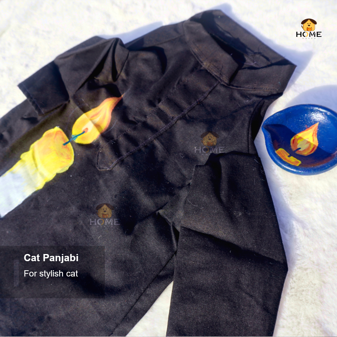 cat panjabi_img_5