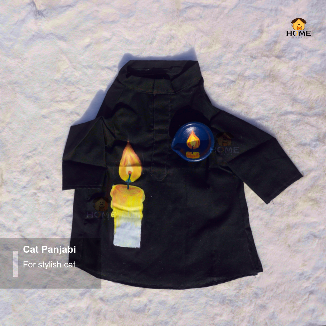 cat panjabi_img_6
