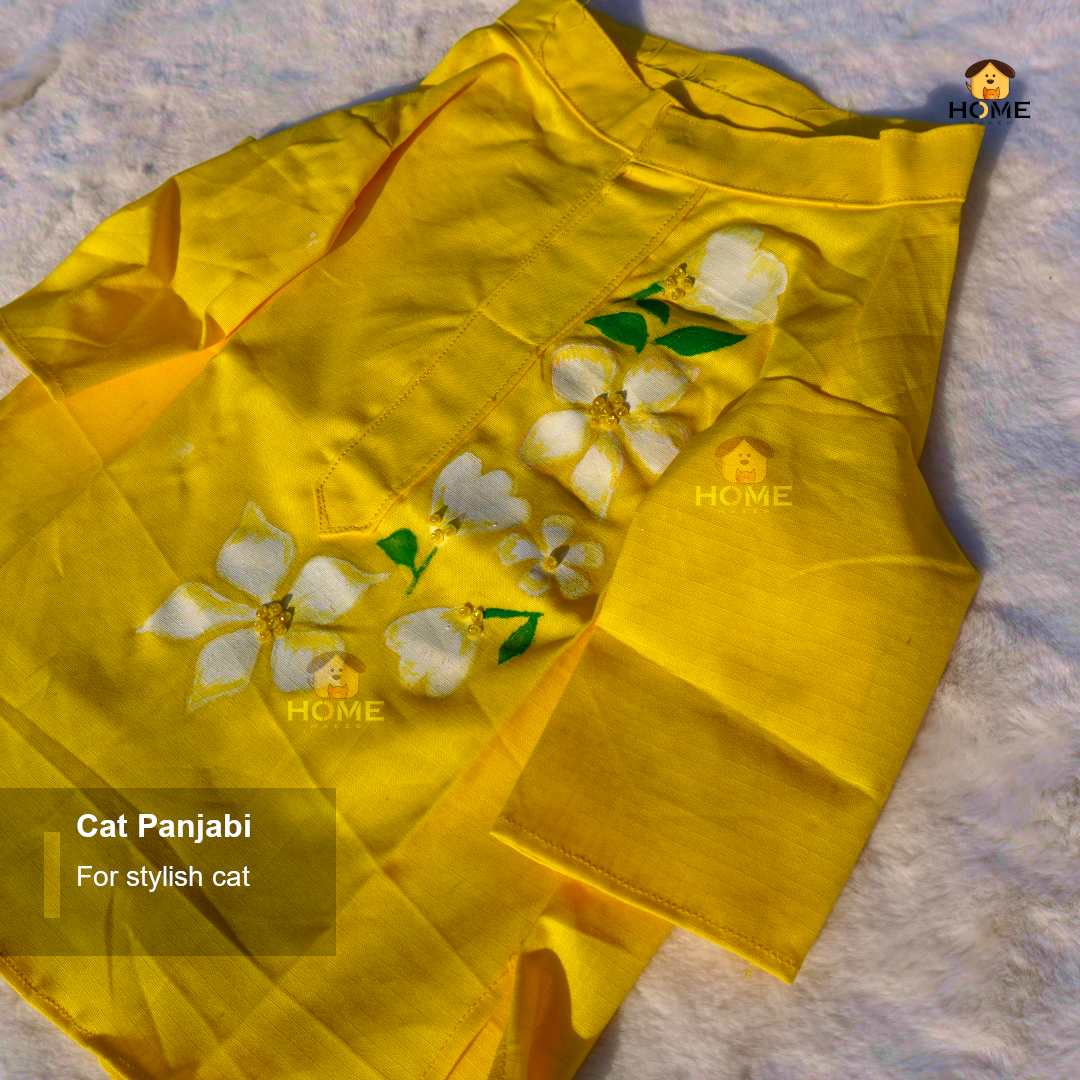 cat panjabi_img_7