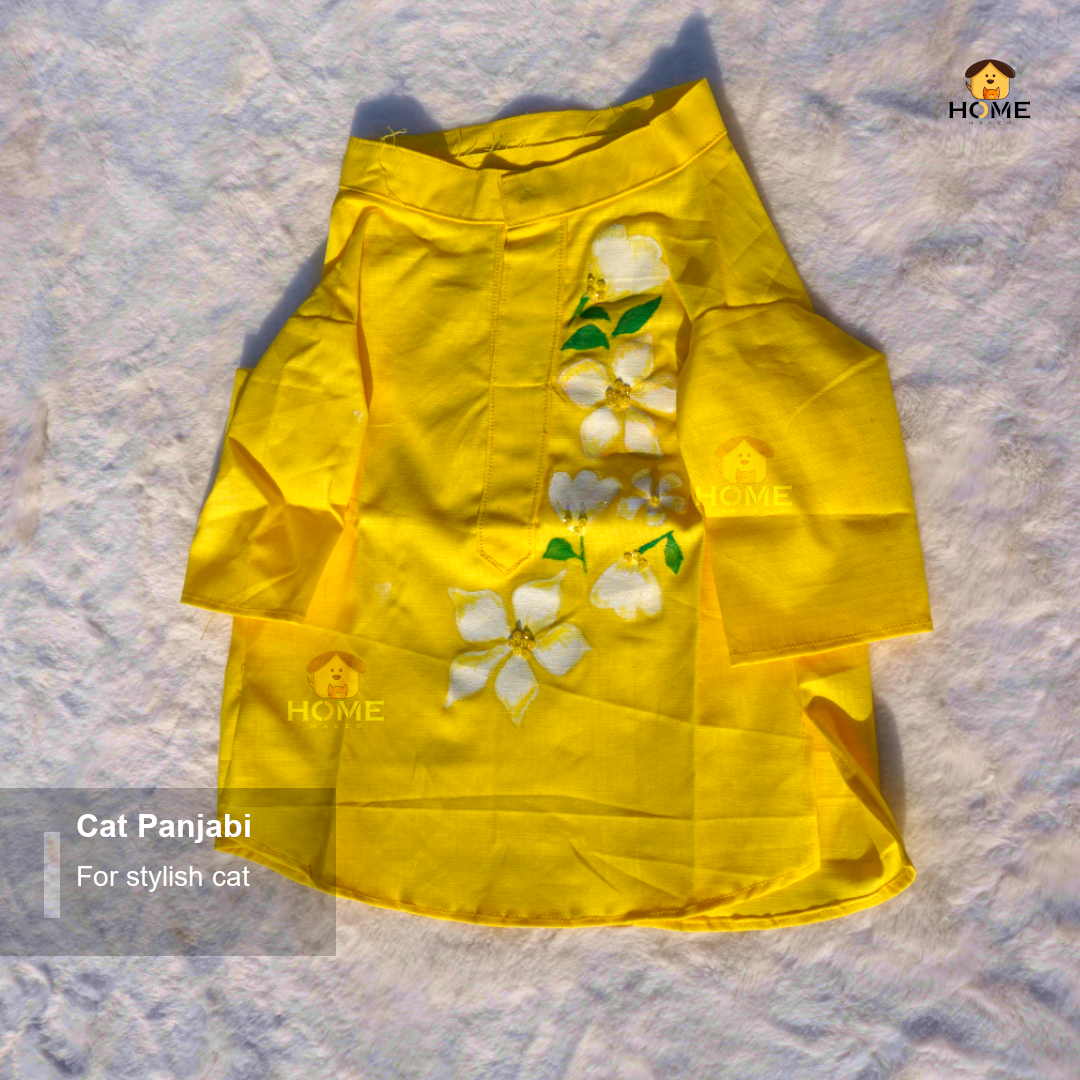 cat panjabi_img_8