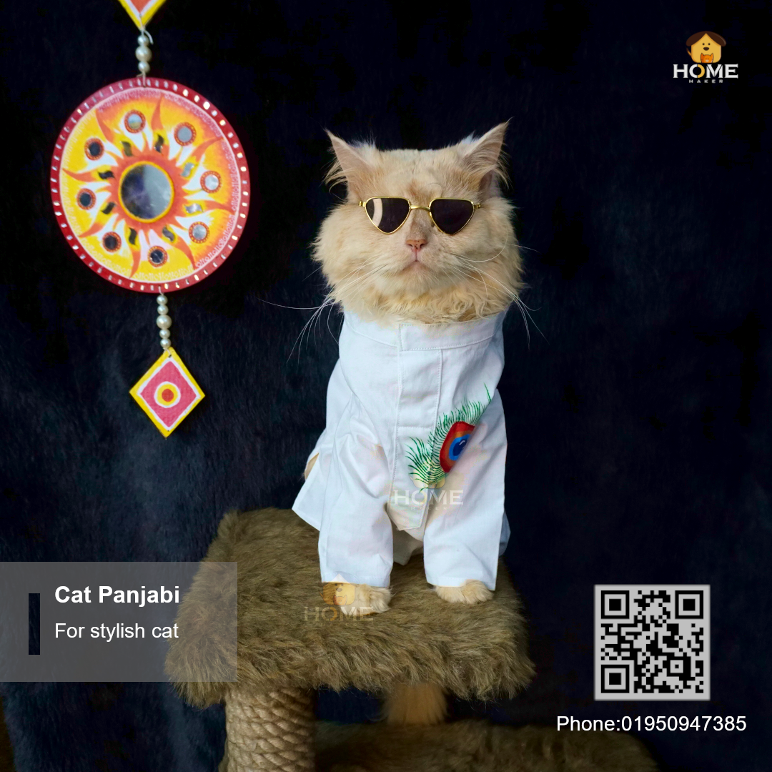 Cat panjabi_img_2