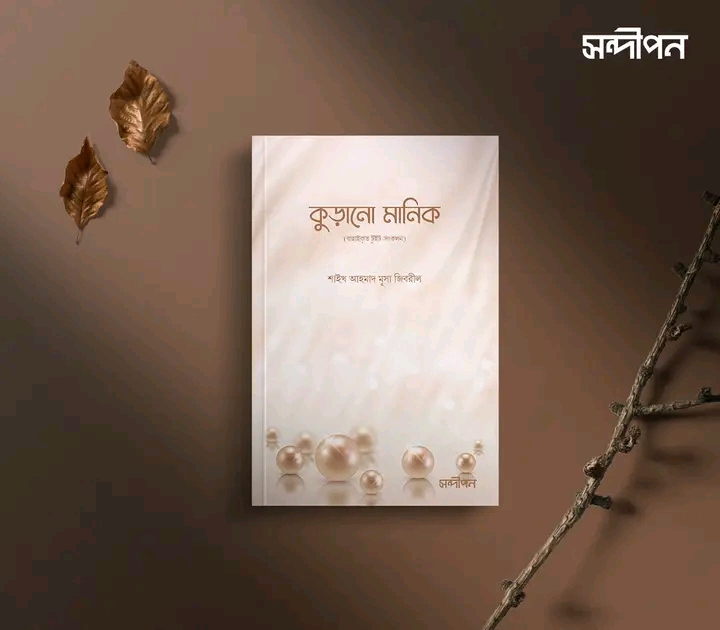 কুড়ানো মানিক