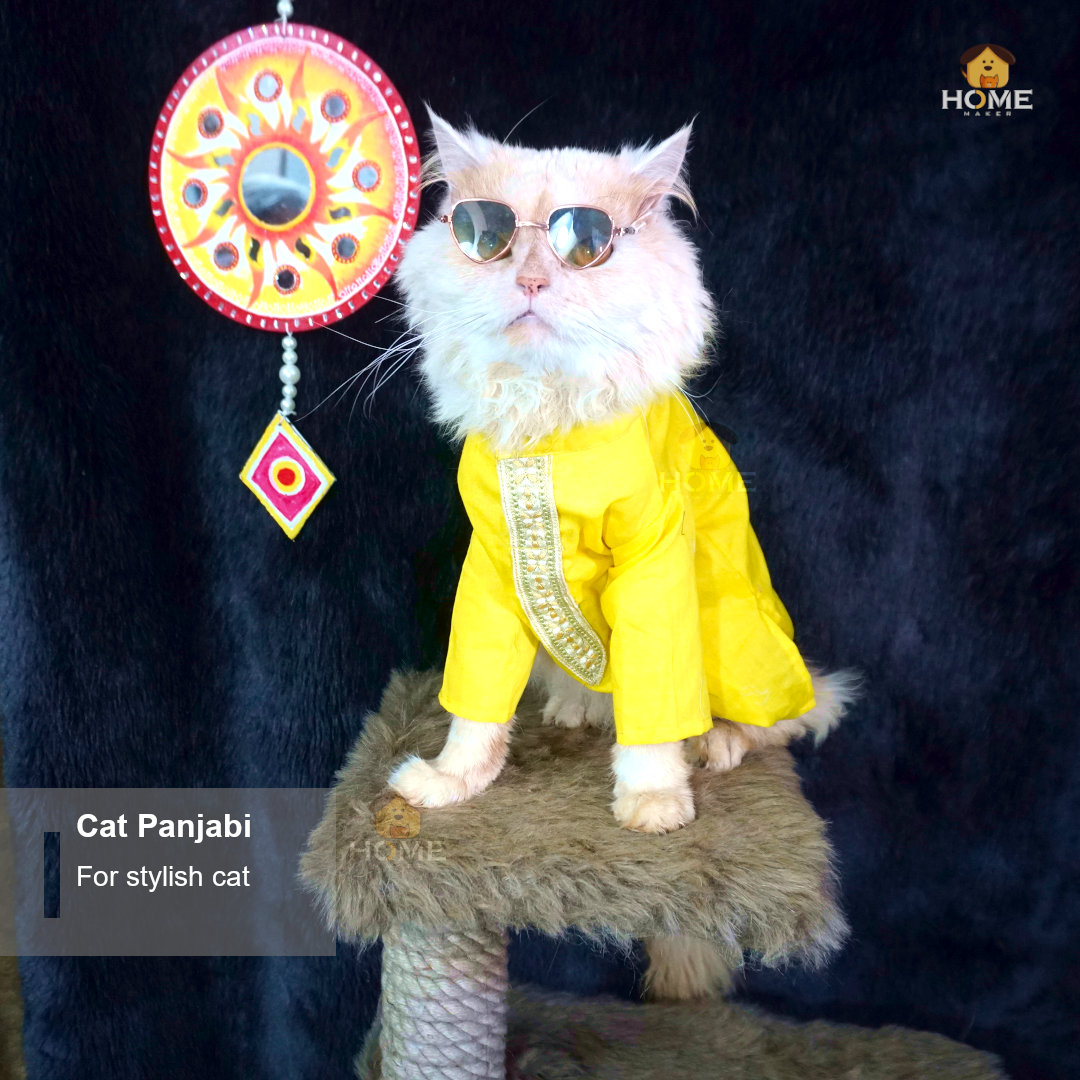 cat panjabi(3,3.5kg)_img_0