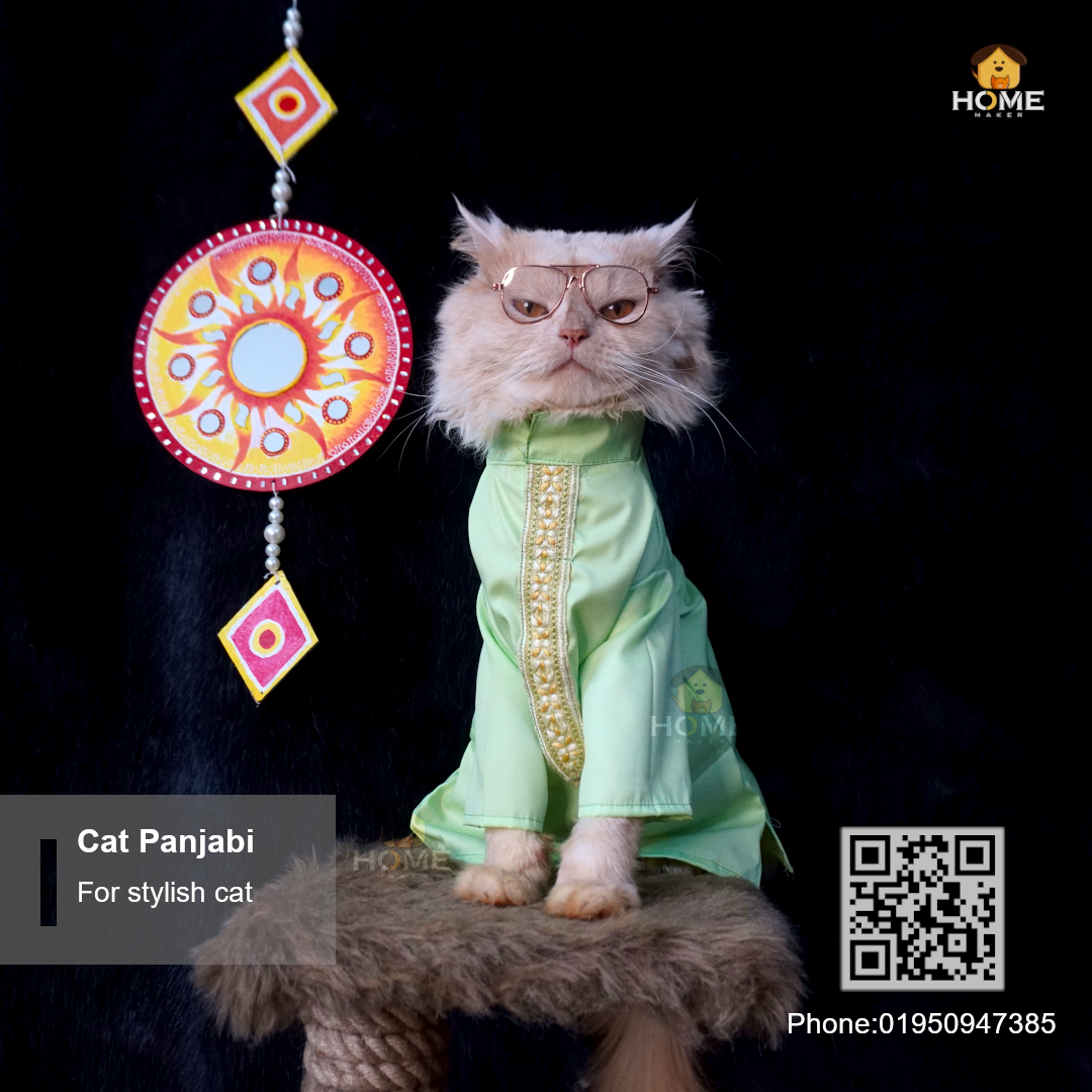 cat panjabi (5,3 kg)_img_0
