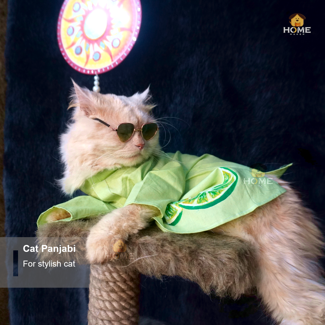 cat panjabi (5 kg)_img_3