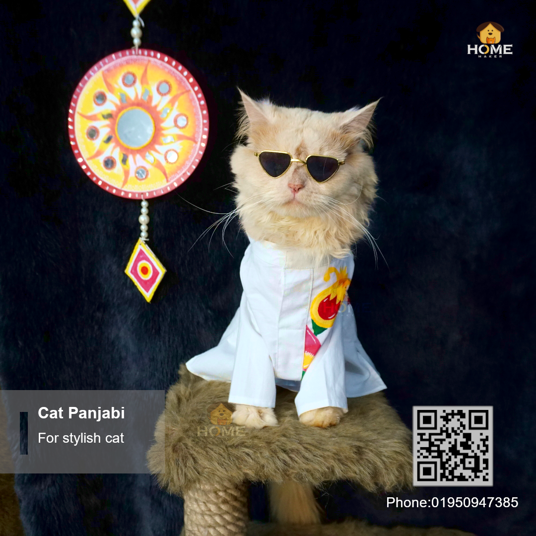 cat panjabi (7 kg)_img_4