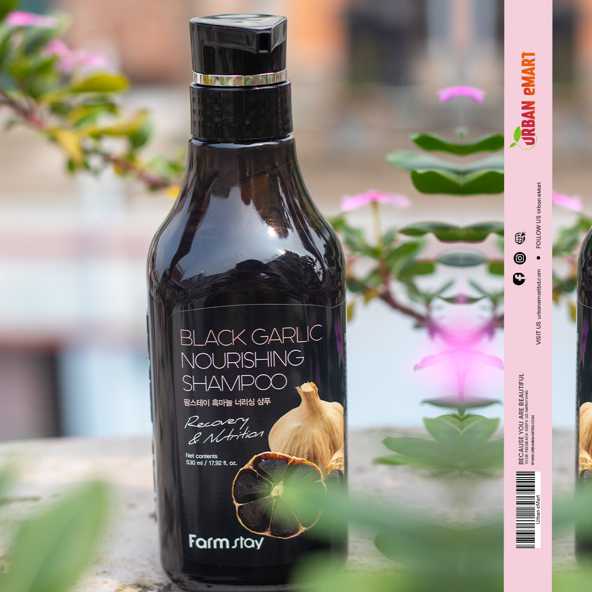 Farm Stay Black Garlic Nourishing Shampoo 530ml_img_2