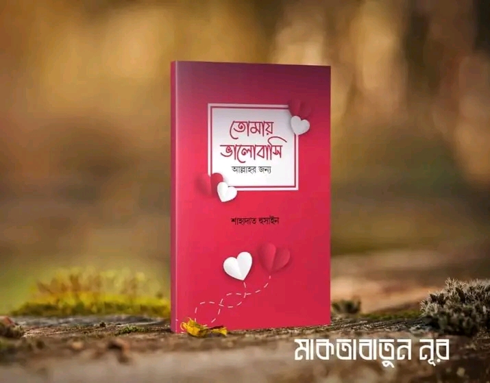 তোমায় ভালোবাসি আল্লাহর জন্য