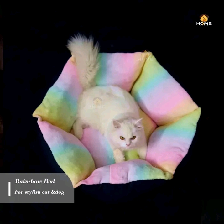 Cat bed_img_1