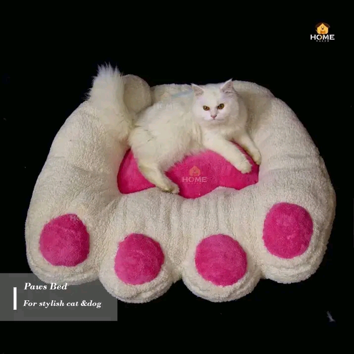 Cat bed_img_5