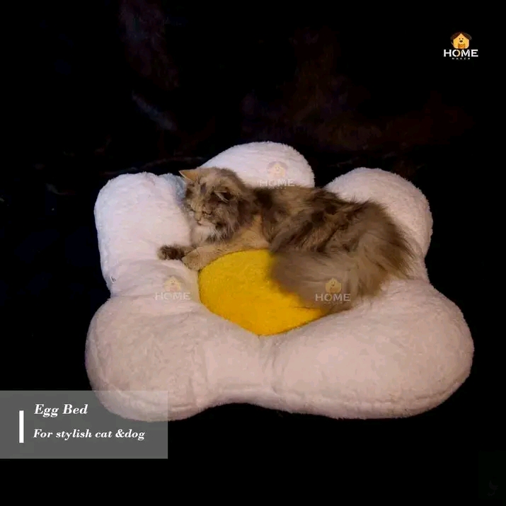 Egg bed_img_1