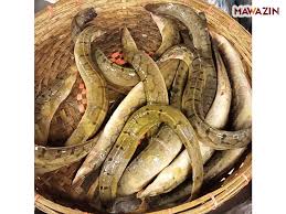 বাইম মাছ (বড়) / ১ কেজি - Image 1