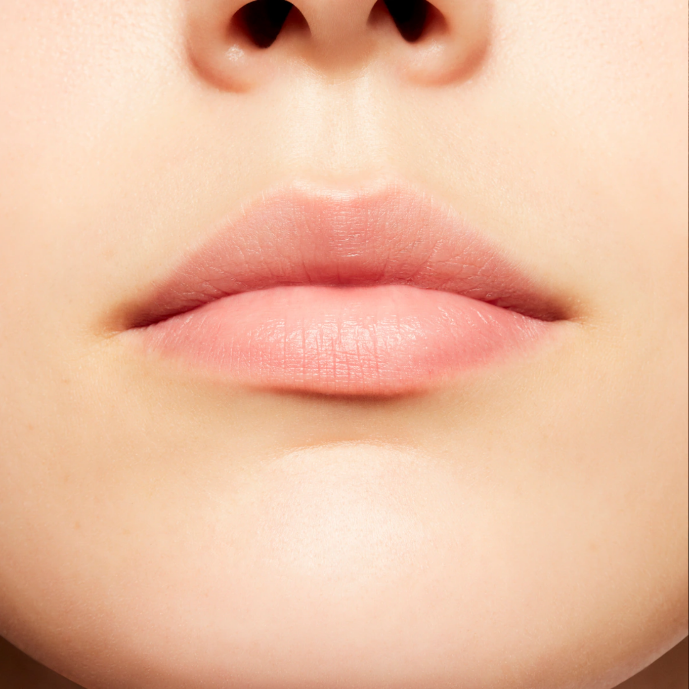 Prep + Prime Lip_img_2