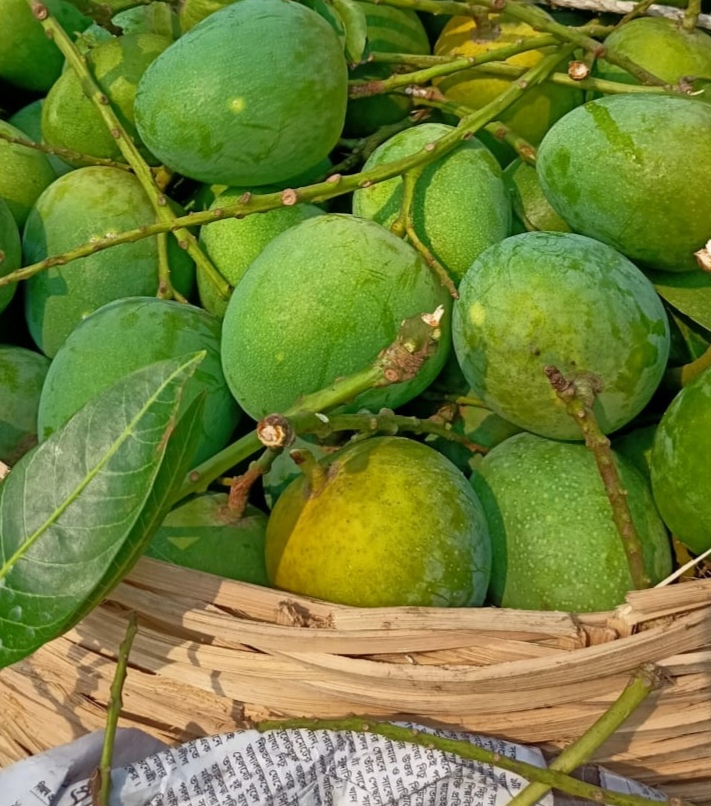 হিমসাগর আম ২০ কেজি হোম ডেলিভারি - Image 2