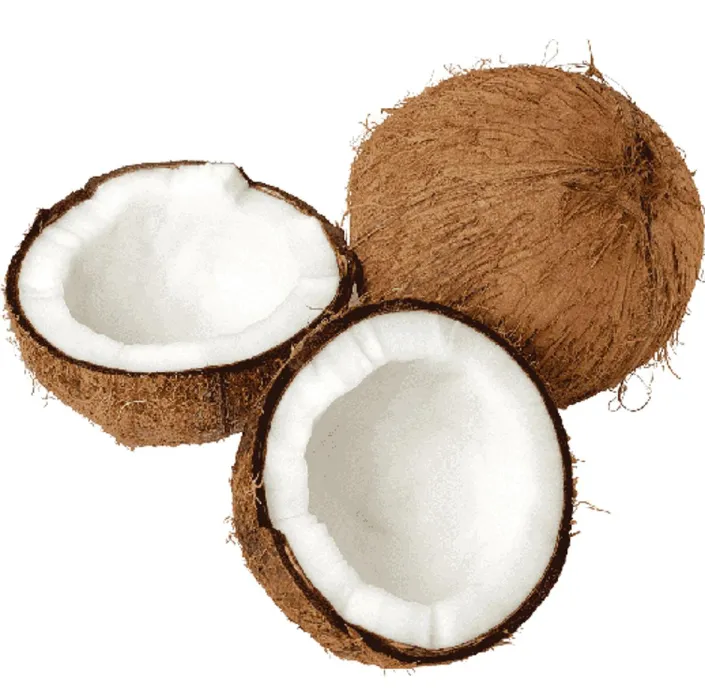 নারিকেল (Coconut)/১ টি - Image 1
