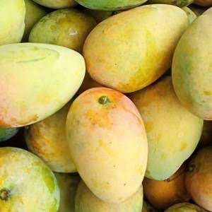 ফজলি আম