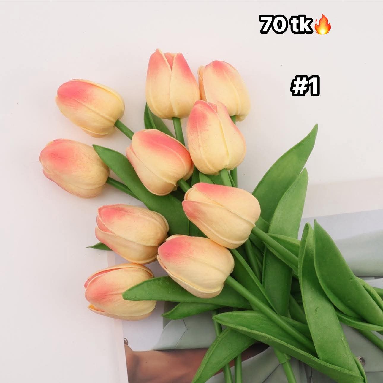 Tulip-NS4613_img_2