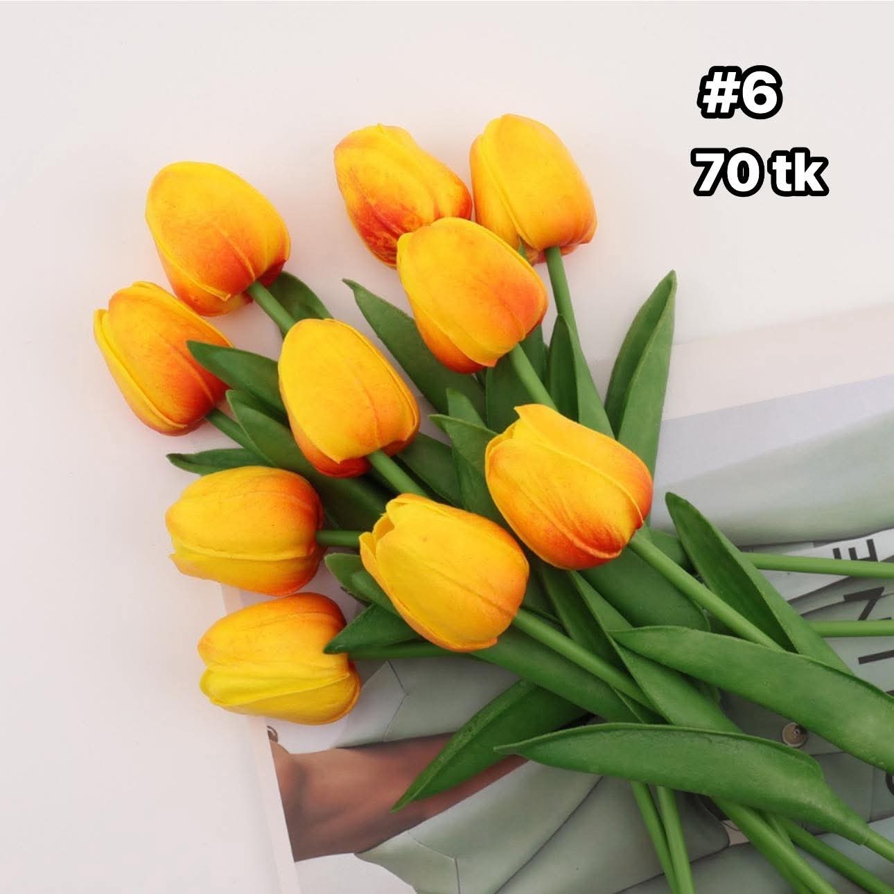 Tulip-NS4613_img_7
